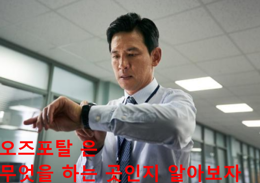 오즈포탈
